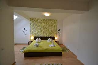 Отель Hotel Brancoveanu Моечу-де-Жос Двухместный номер эконом-класса с 1 кроватью или 2 отдельными кроватями-2